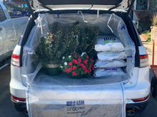 Load image into Gallery viewer, Chelsea with garden supplies